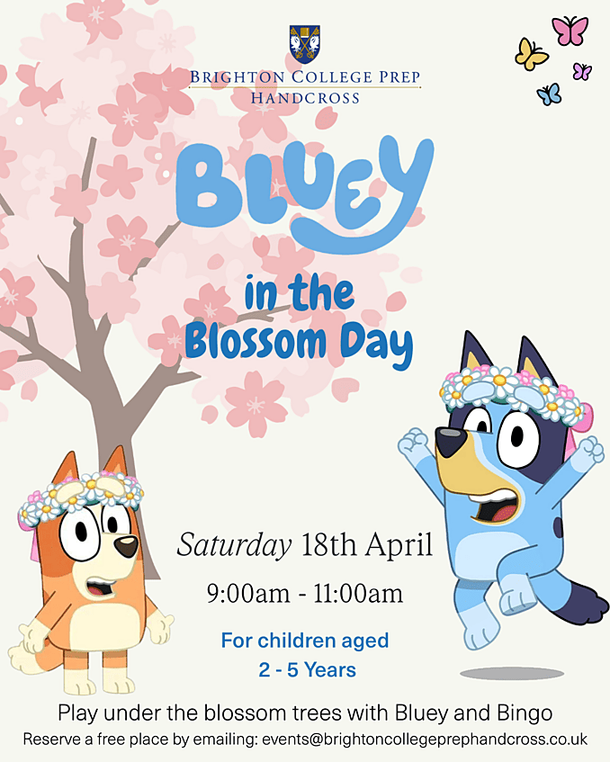  in the Blossom Day  